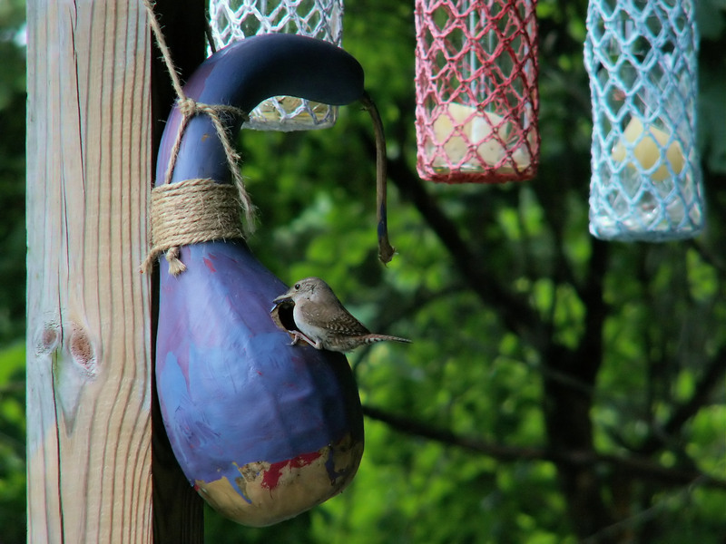 Decluttering for a Fresh Start: Making Hoarder Clean Up Easier